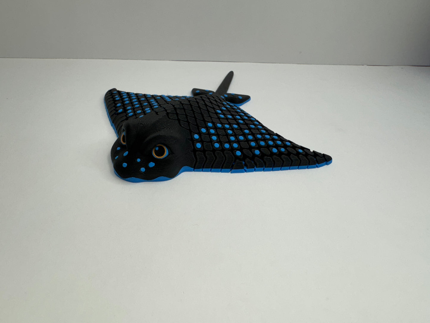 Igor the spotted ray