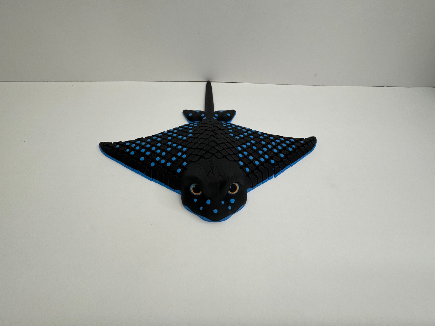 Igor the spotted ray
