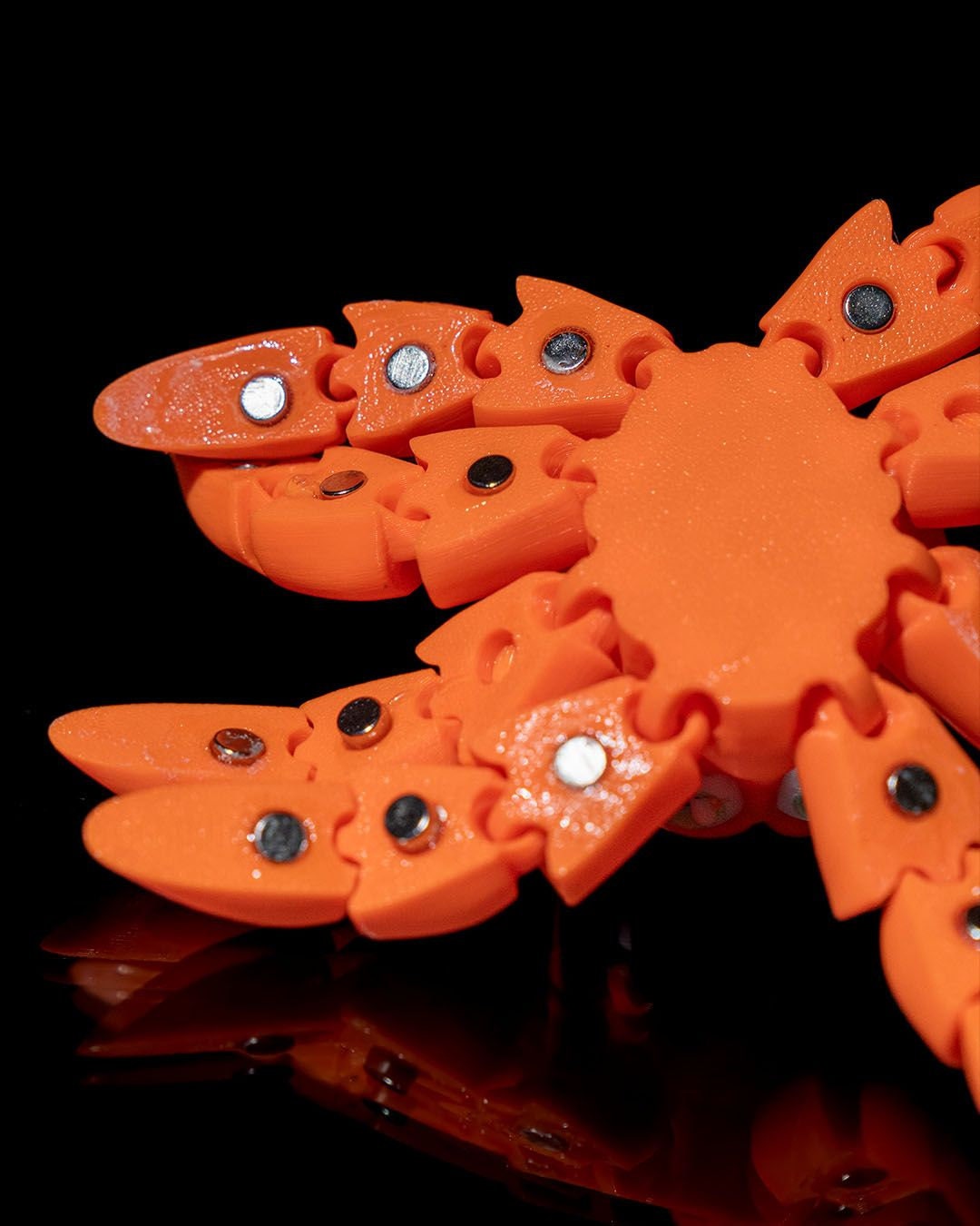 Clingy Octopus multiple color options