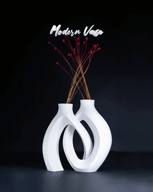 Modern Vase multiple color options