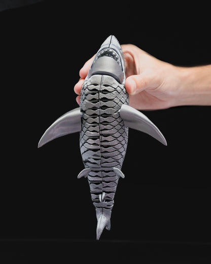 Great white shark fidget toy "30+ Colors to choose from"