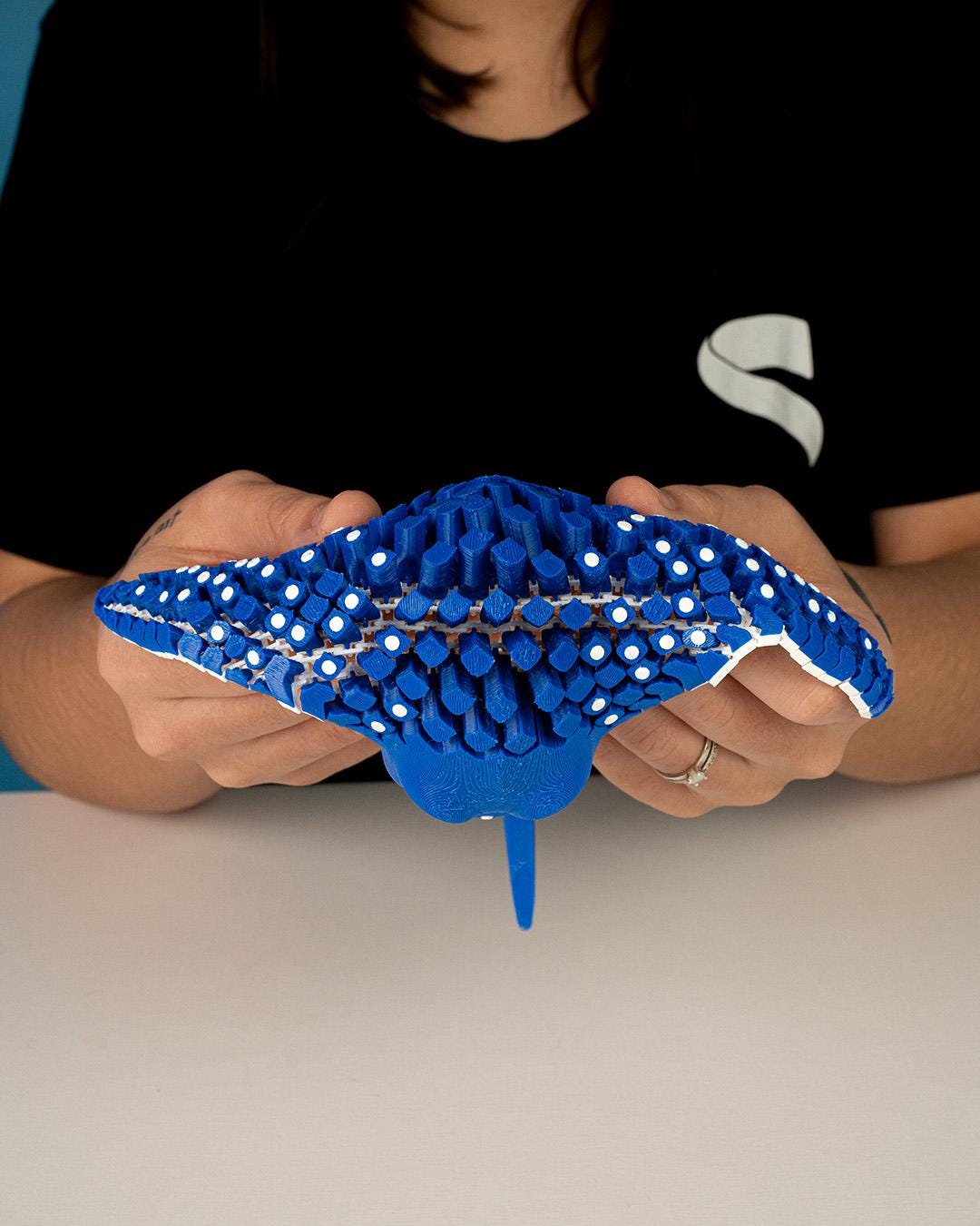 Igor the spotted ray