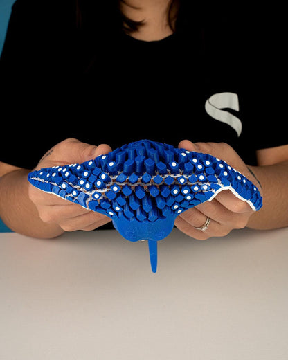 Igor the spotted ray