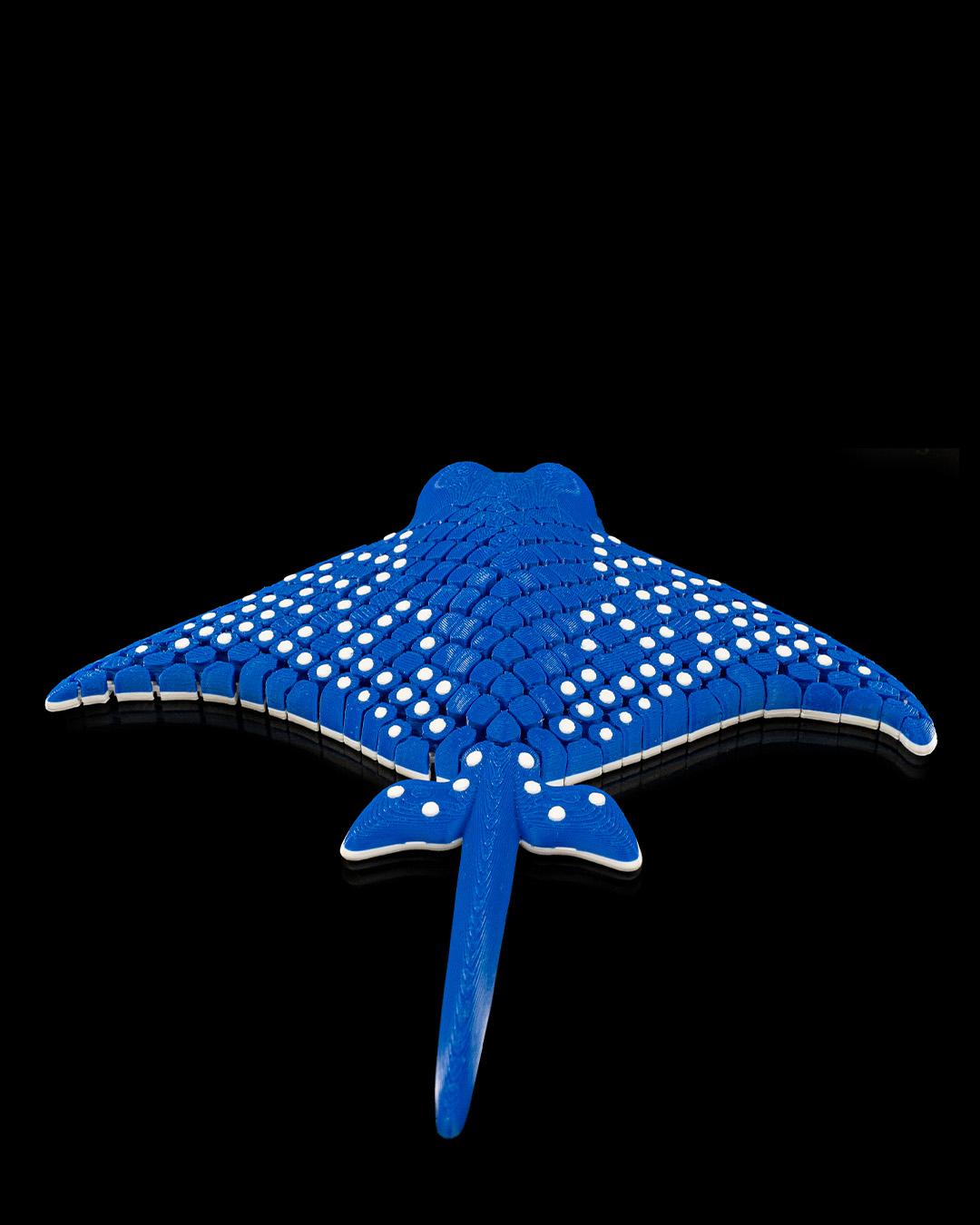 Igor the spotted ray