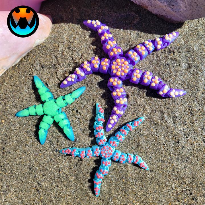 Mystery Egg of Sea Creatures – The Ultimate Ocean Adventure!